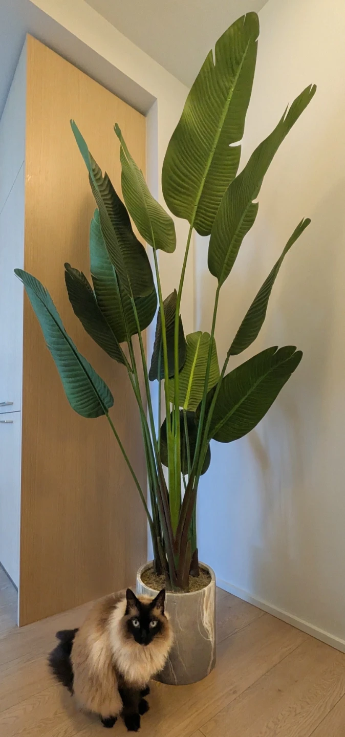 7 Ft Artificial Bird of Paradise Plant + Marble-Look Pot