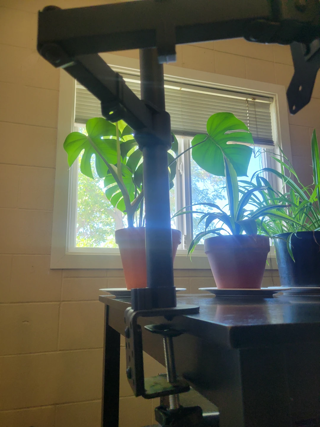 VIVO Single Monitor Desk Mount - photo 5