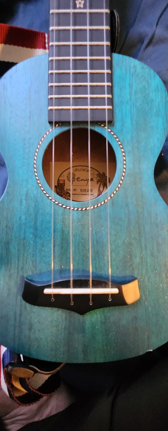 Enya Teal Ukulele Complete Set + Bag & Accessories 🎸 - photo 5
