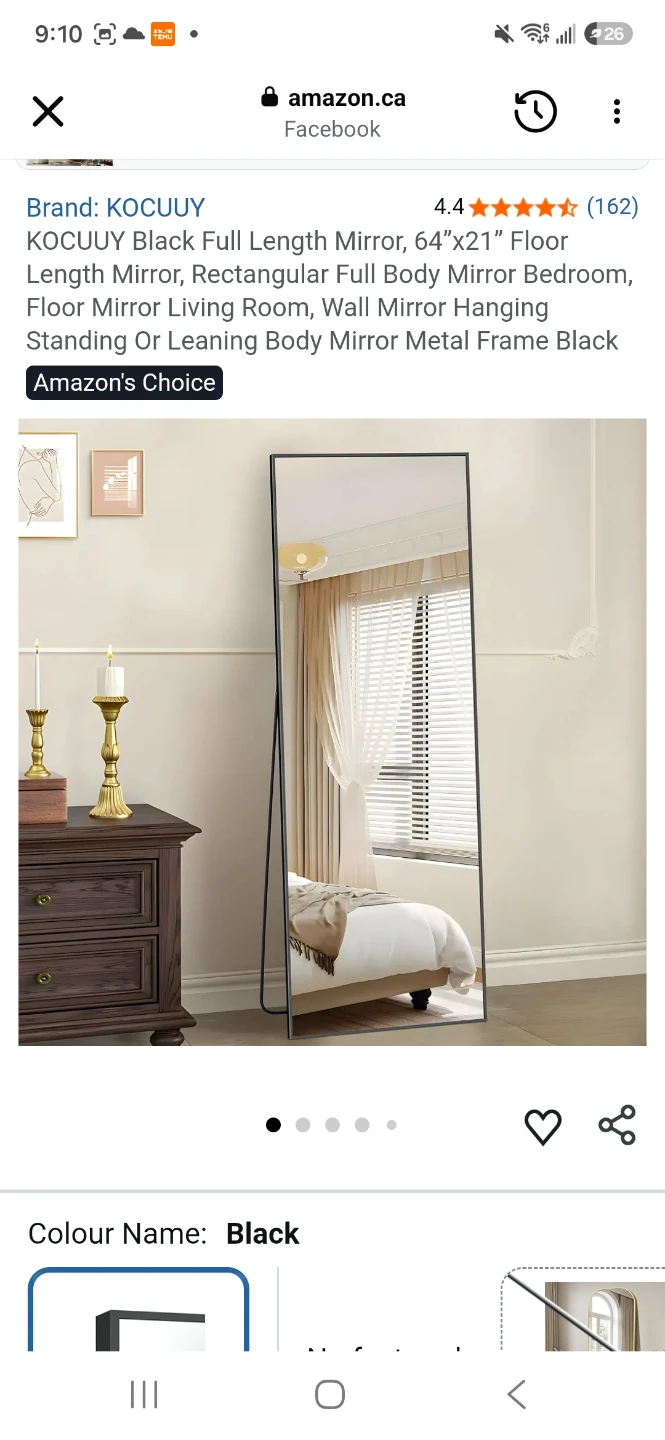 KOCOUY Black Full Length Mirror 64"x21"