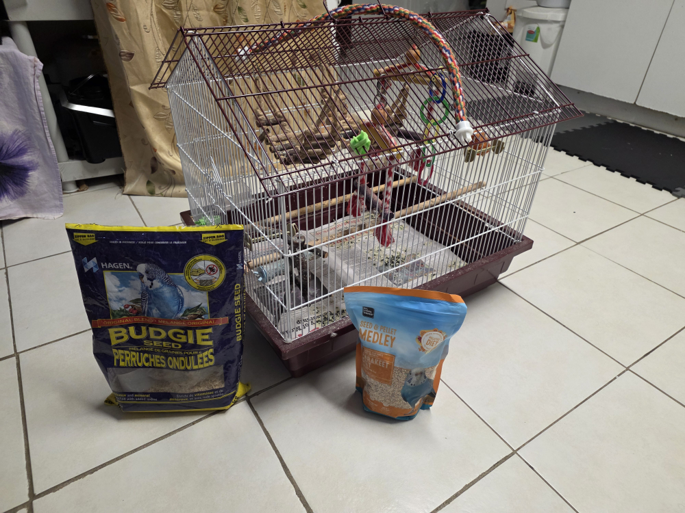 Bird Cage with Perches and Accessories - photo 2