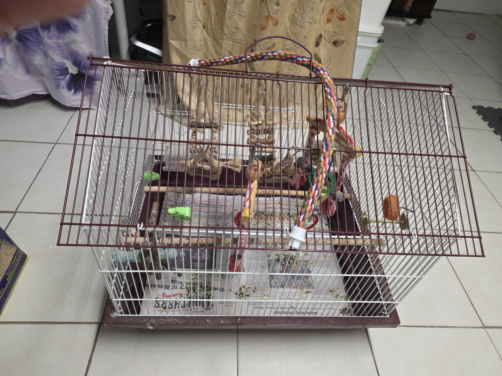 Bird Cage with Perches and Accessories - photo 3