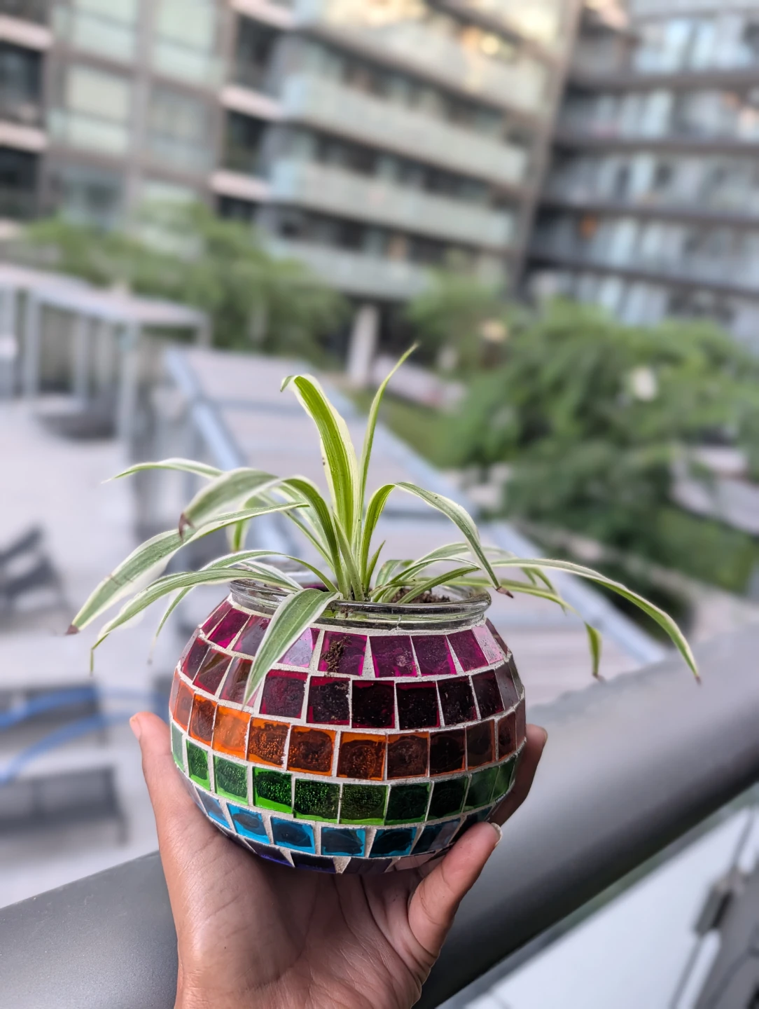 Upcycled Mosaic Glass Planter with Spider Plant - photo 3