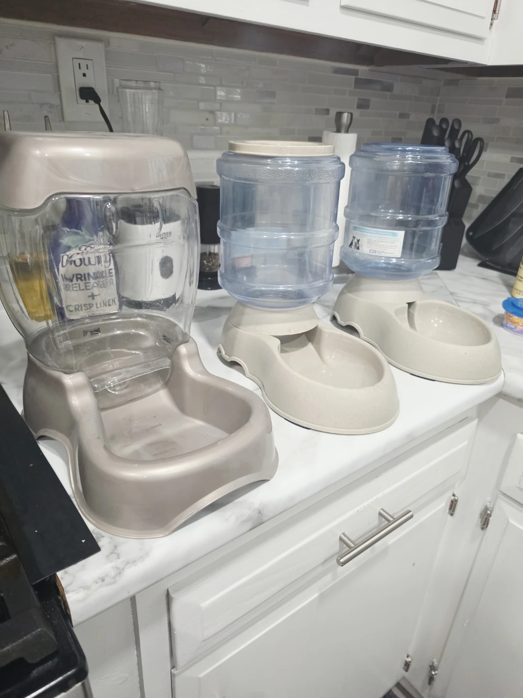 Cat food and water feeder