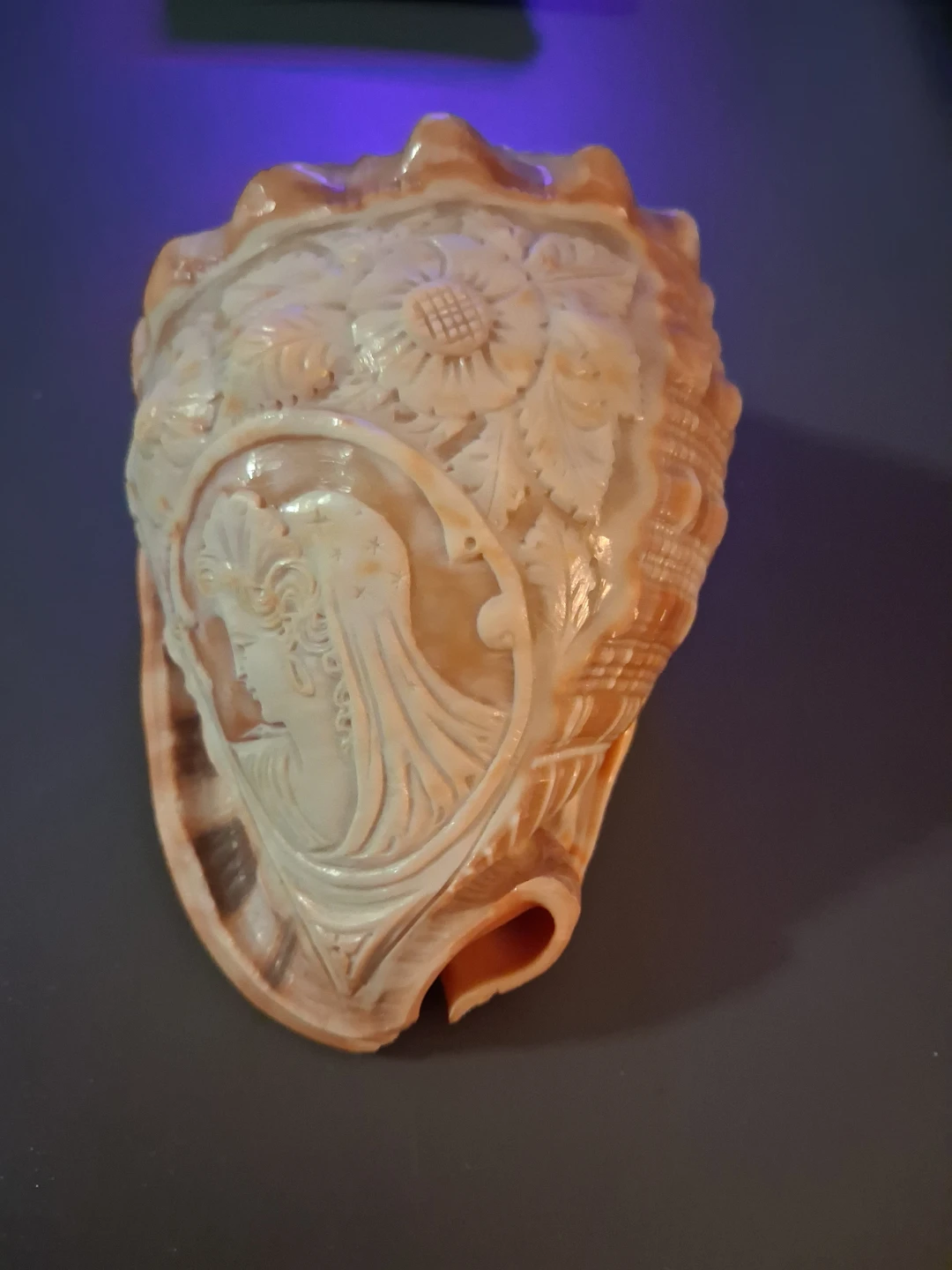 Carved Conch Shell Cameo