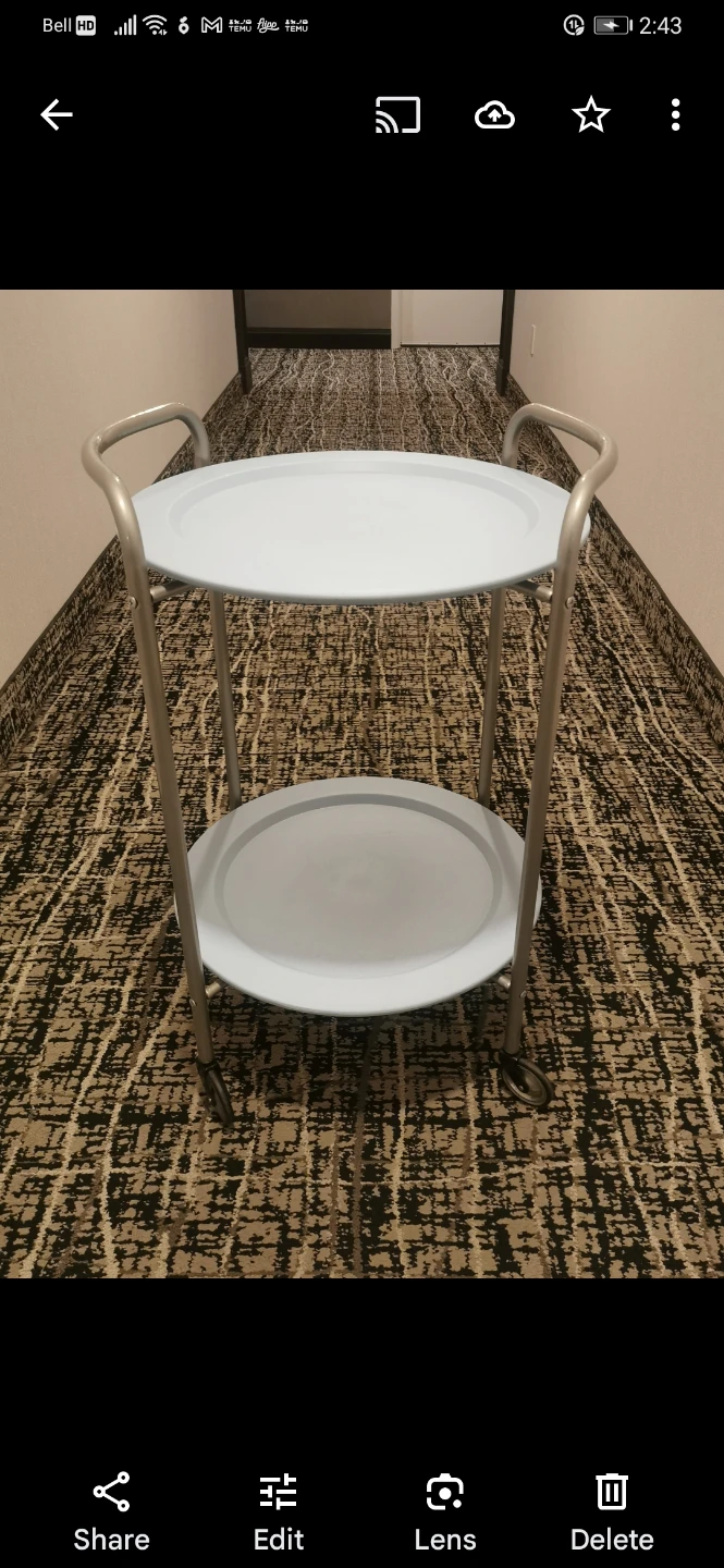 2-Tier Serving Cart