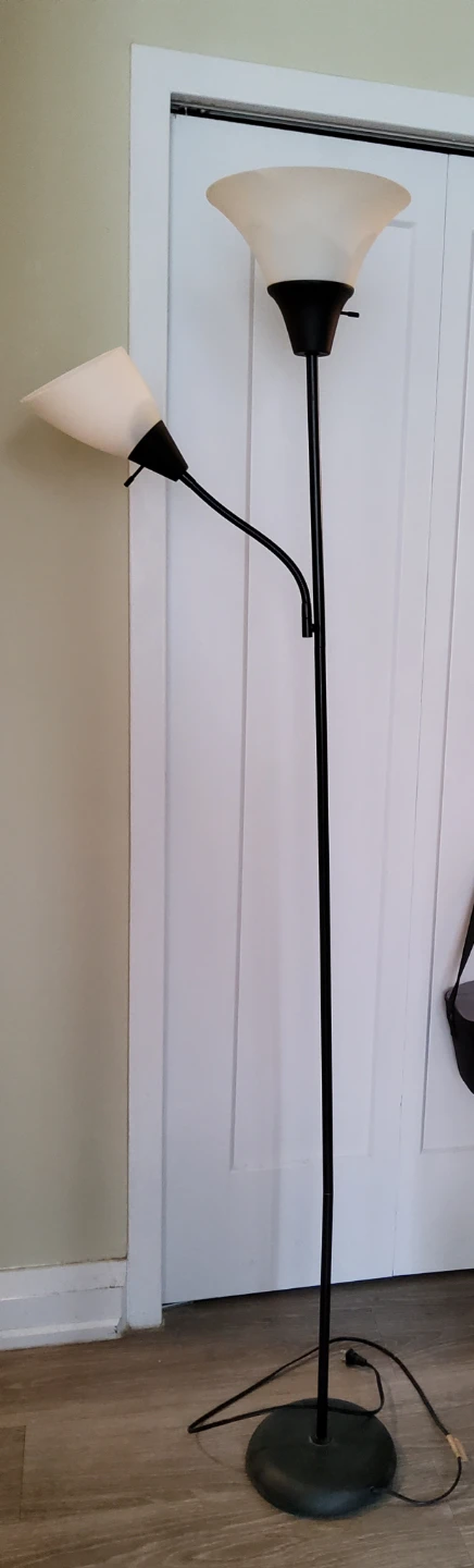 Black Dual-Head Floor Lamp