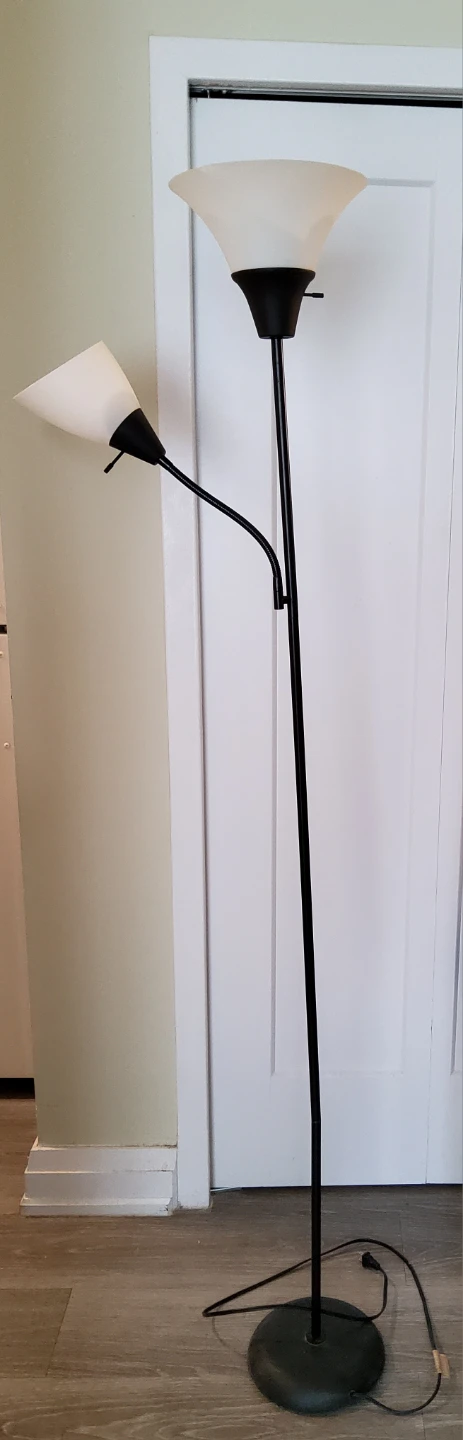 Black Dual-Head Floor Lamp - photo 2