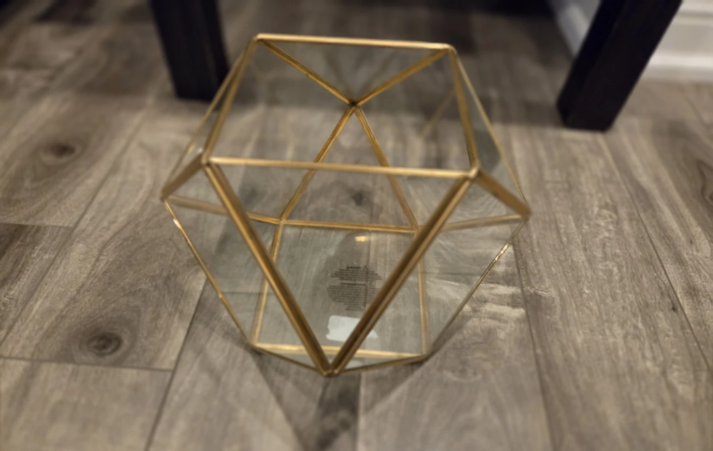 Geometric Glass Terrarium