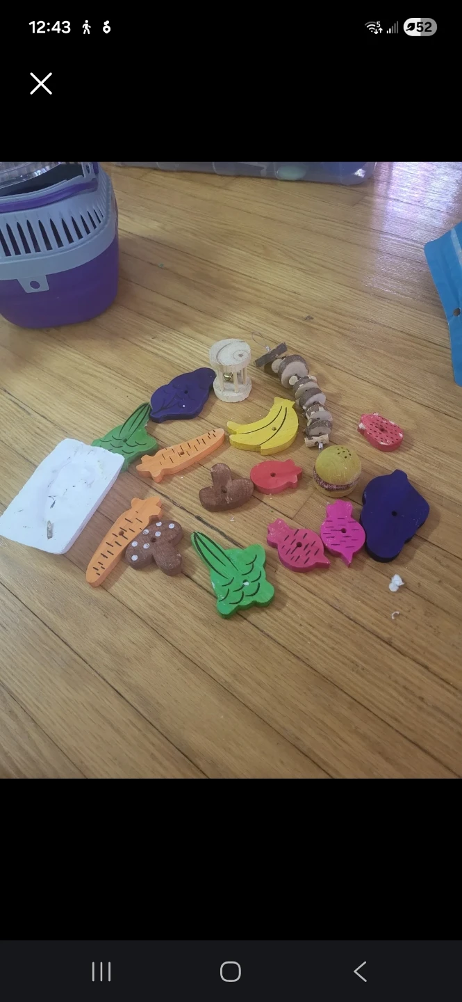 Wooden Pet Chew Toys Food & Fruit Shapes