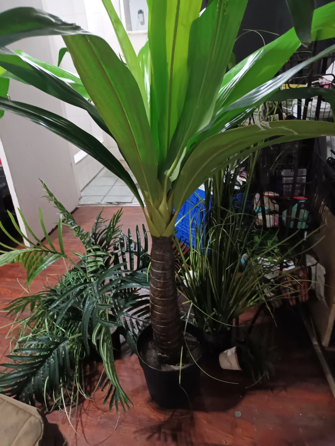 Artificial Palm Plant