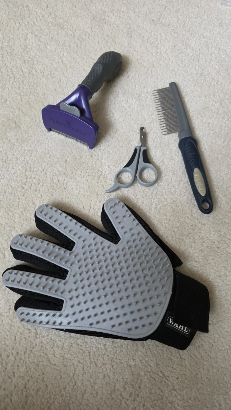 Pet Grooming Tools: Glove, Comb, Clippers & Deshedder