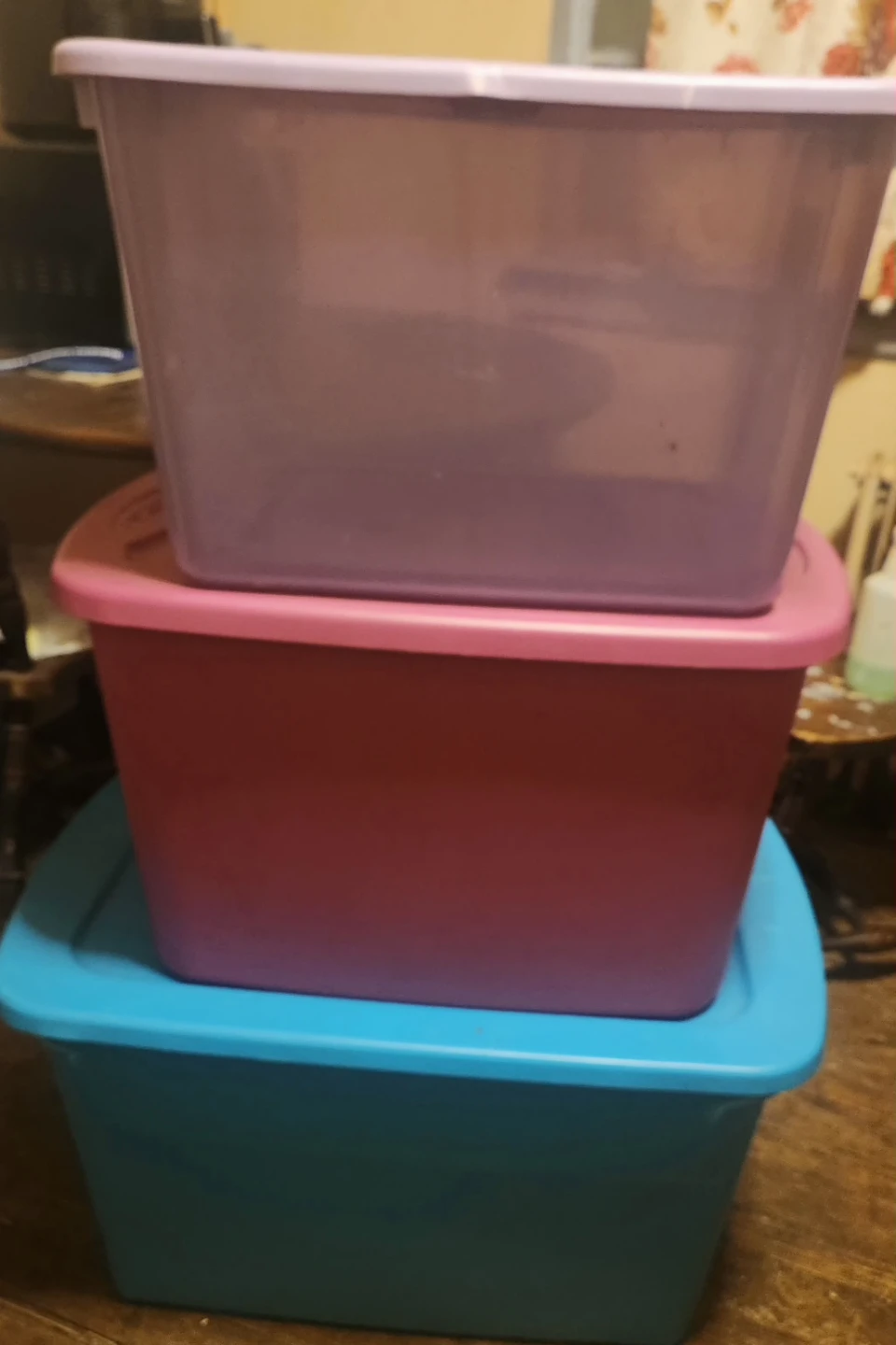 Storage Totes - Set of 3