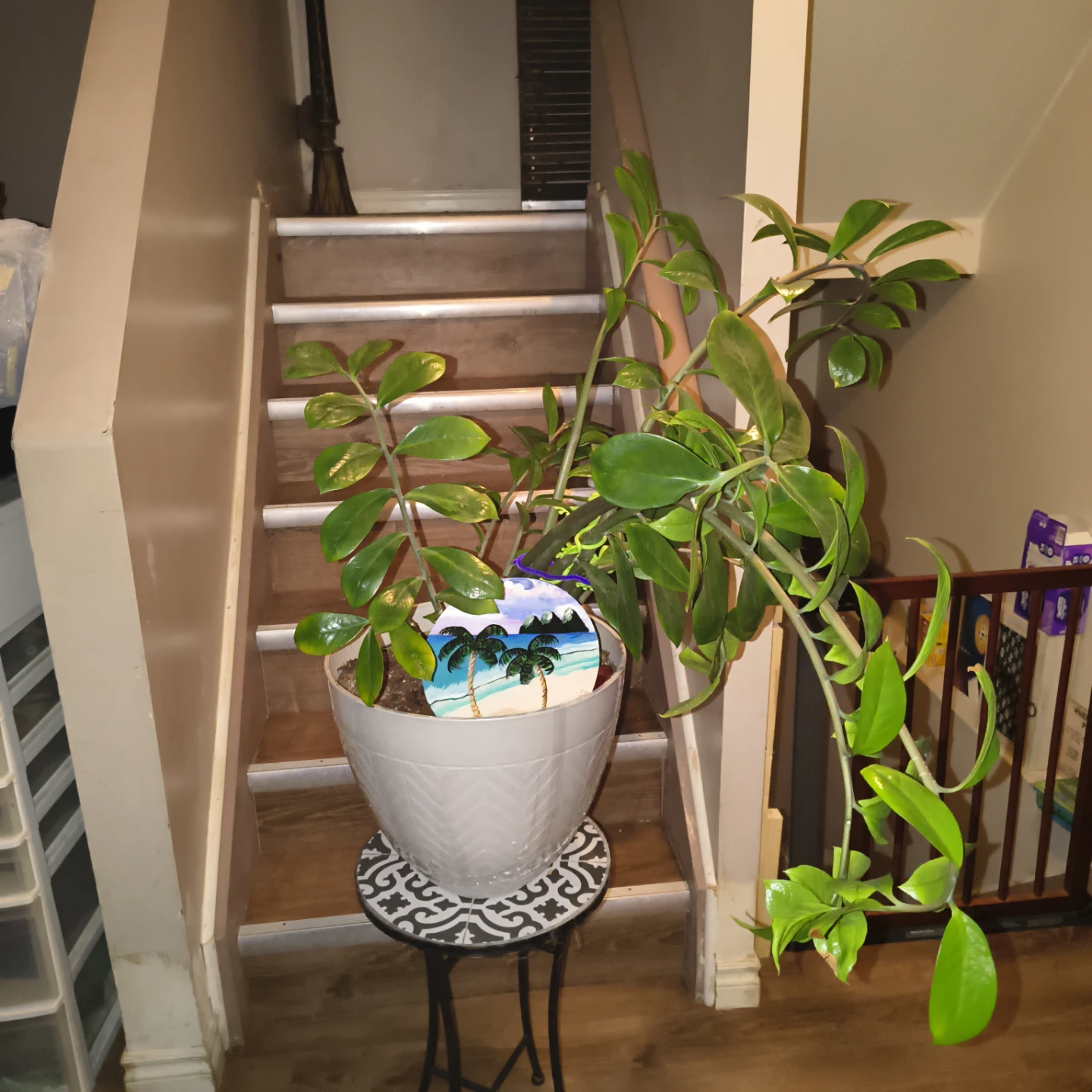 Hand-painted Tropical Scene Decor