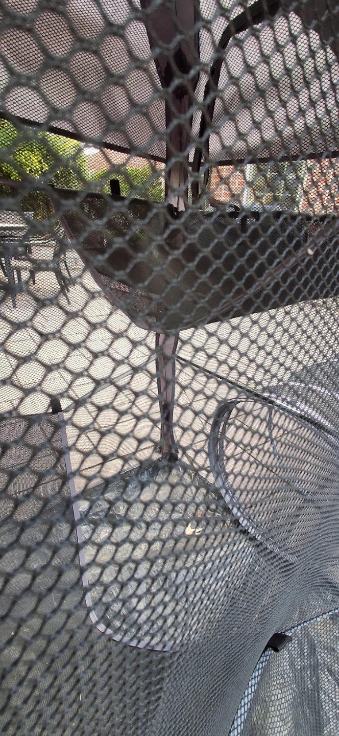 Cat cage - photo 3