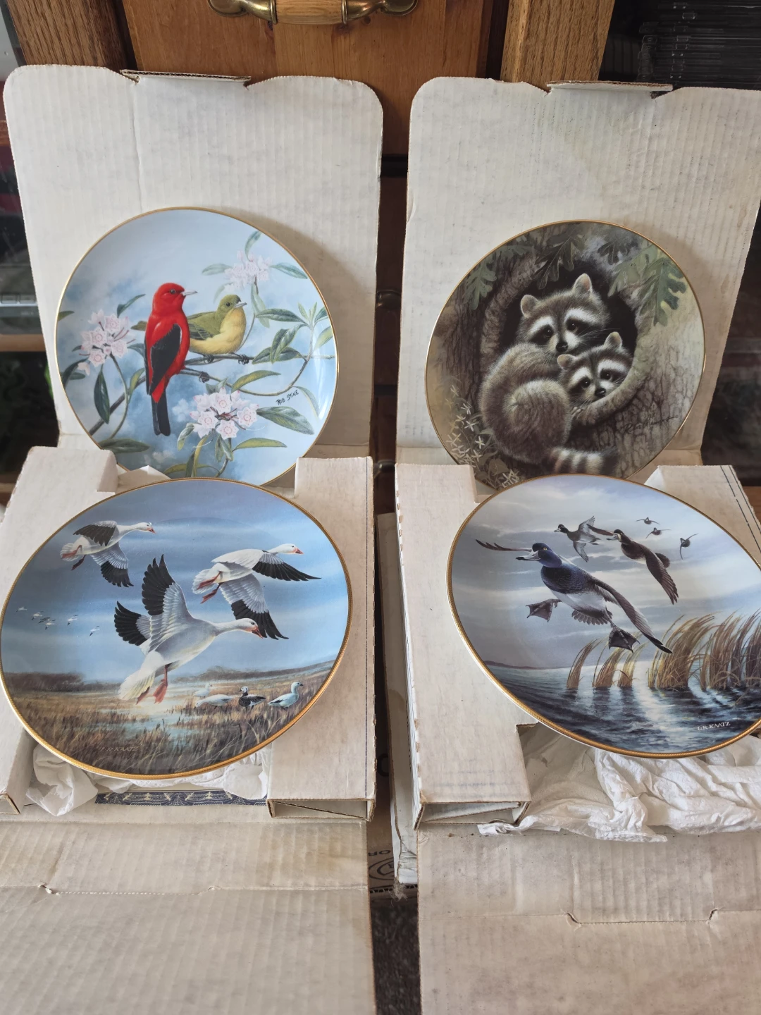 Collector plates - photo 4