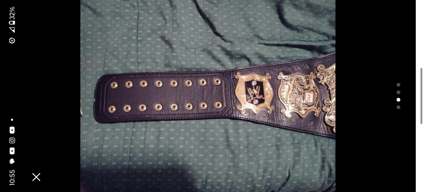 Selling A W.W.E Undisputed Wrestling Championship Belt - photo 3