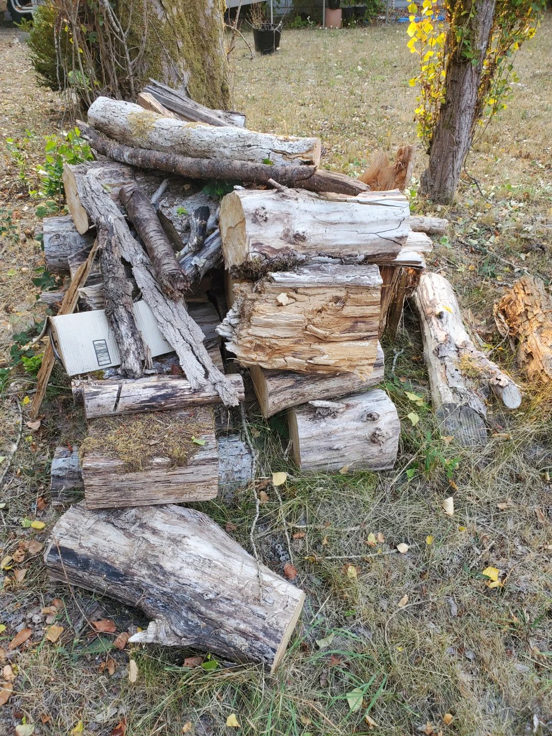 Wood - photo 2