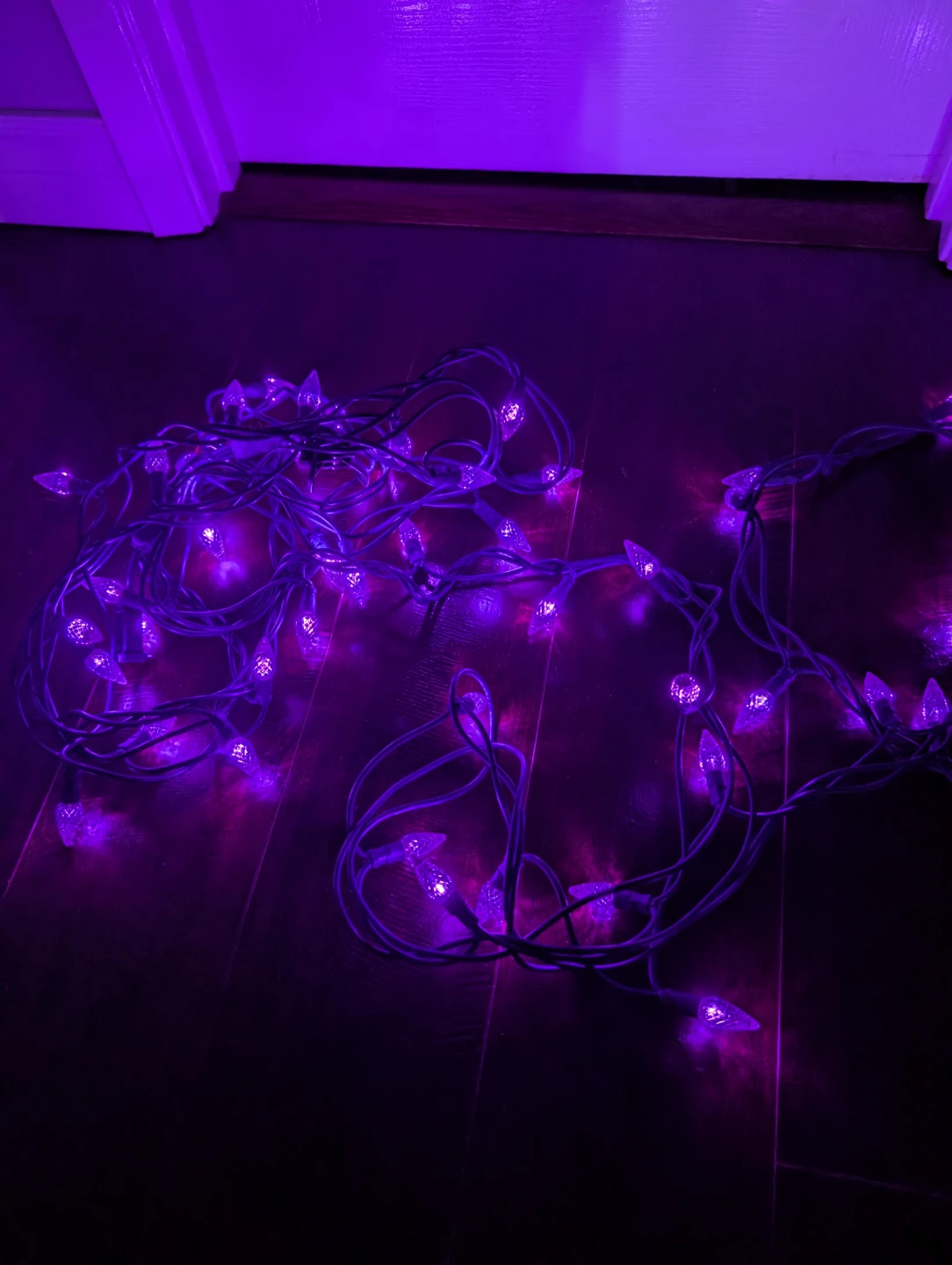Purple String Lights