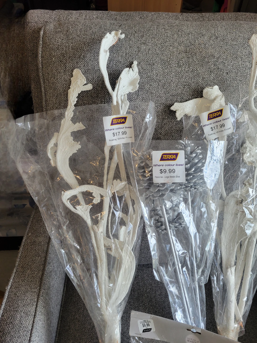 Decorations Lot (Terra) - photo 2