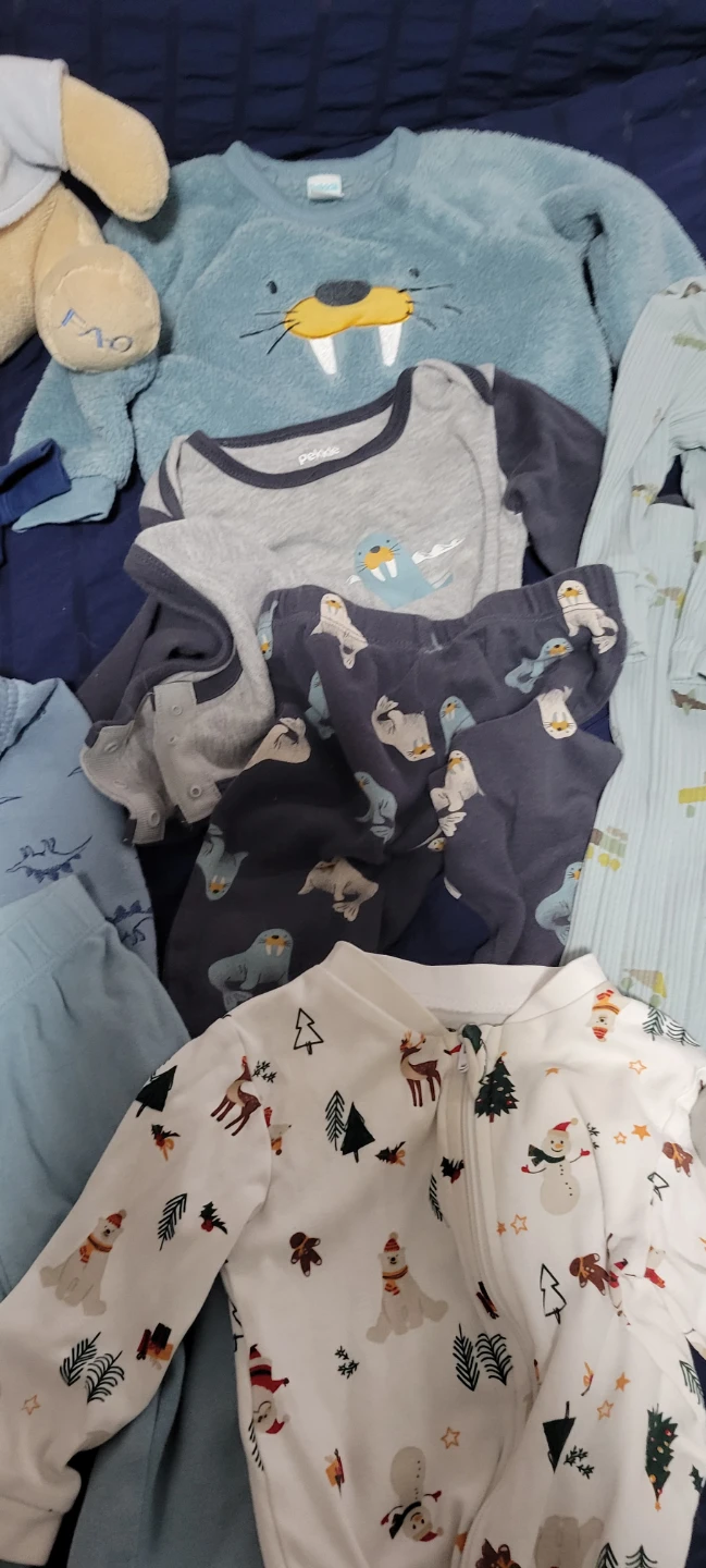 Pekkle and Carters Baby Clothing Set 9 Months
