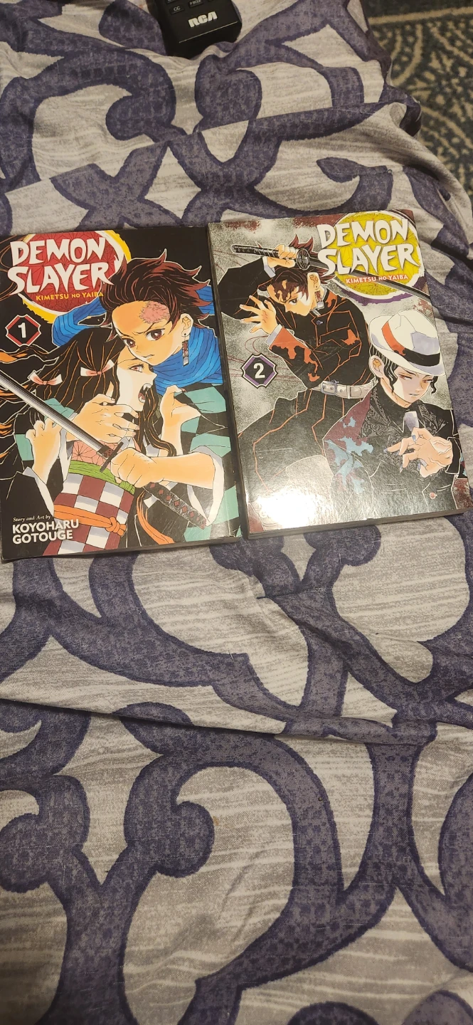 Volumes 1 and 2 of Demon Slayer