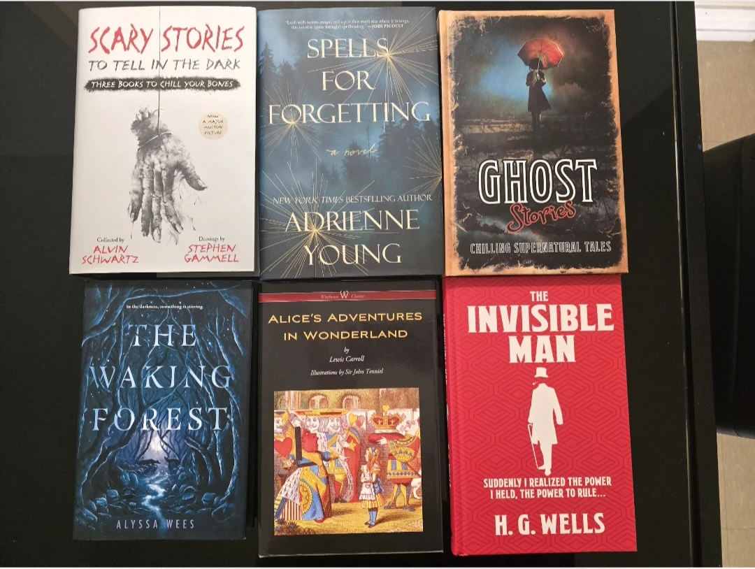Assorted Novels Bundle - photo 2