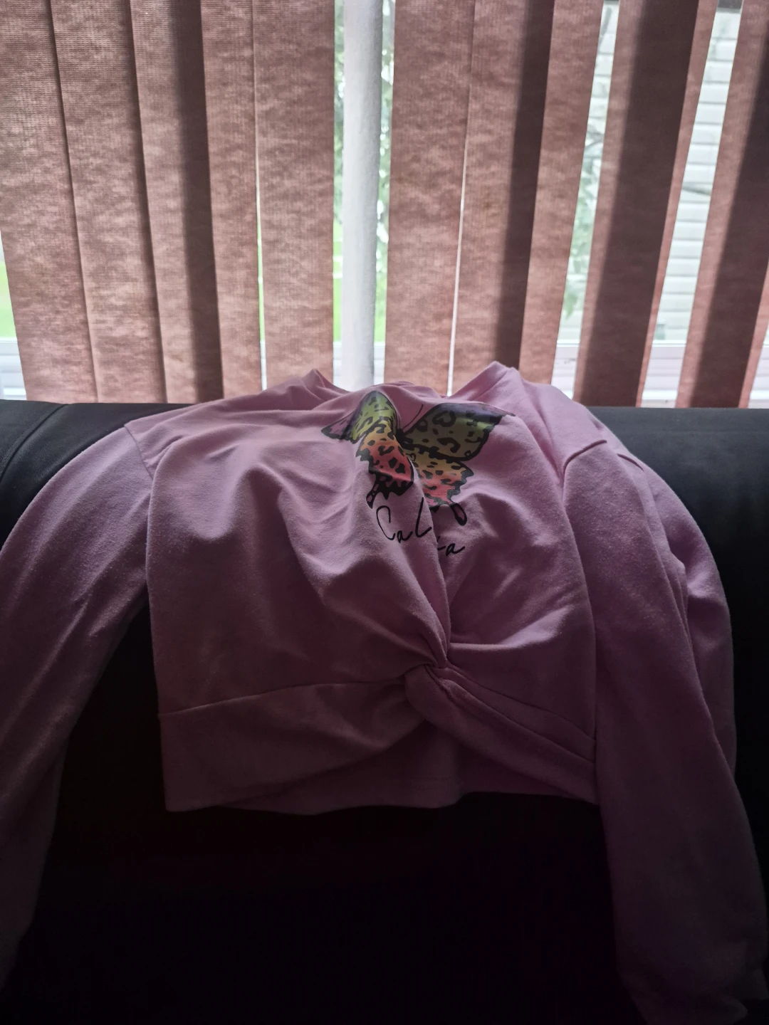 Pink Butterfly Graphic Long Sleeve Top