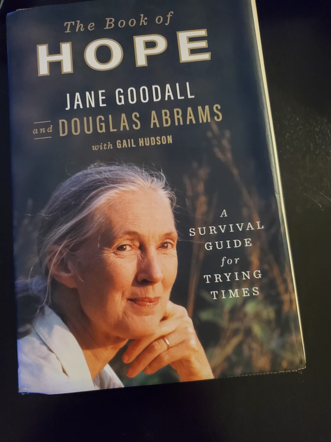 Book lot - photo 4