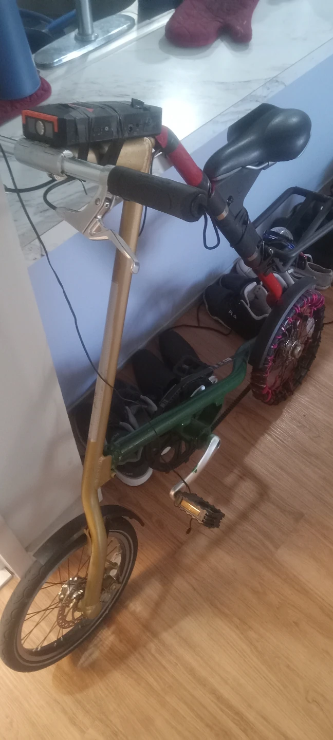 Custom bike