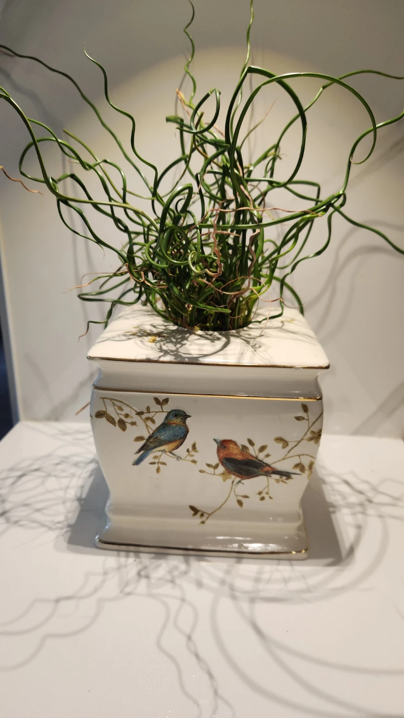 Upcycled whimsical kleenex box holder woth plants