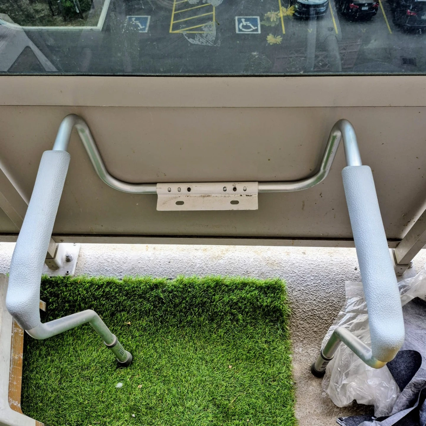 Toilet handles for elderly.