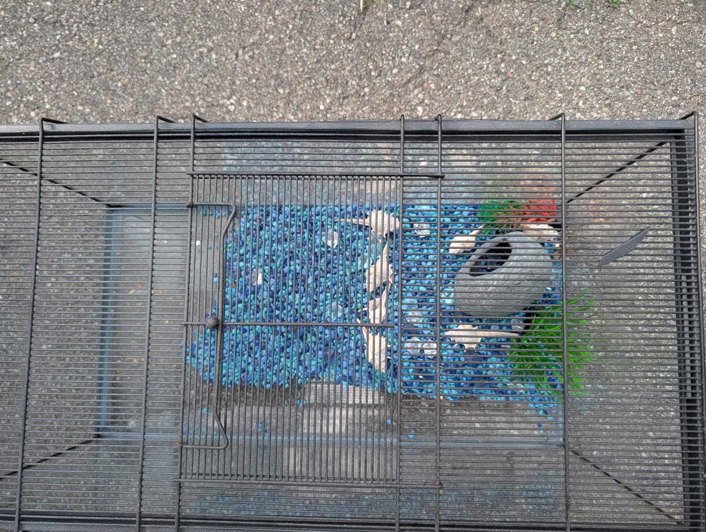 Aquarium Tank with Gravel and Decorations - photo 2