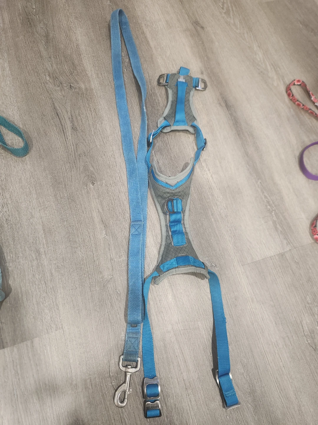 Play! Dog Harness and Leash Set - Blue/Grey