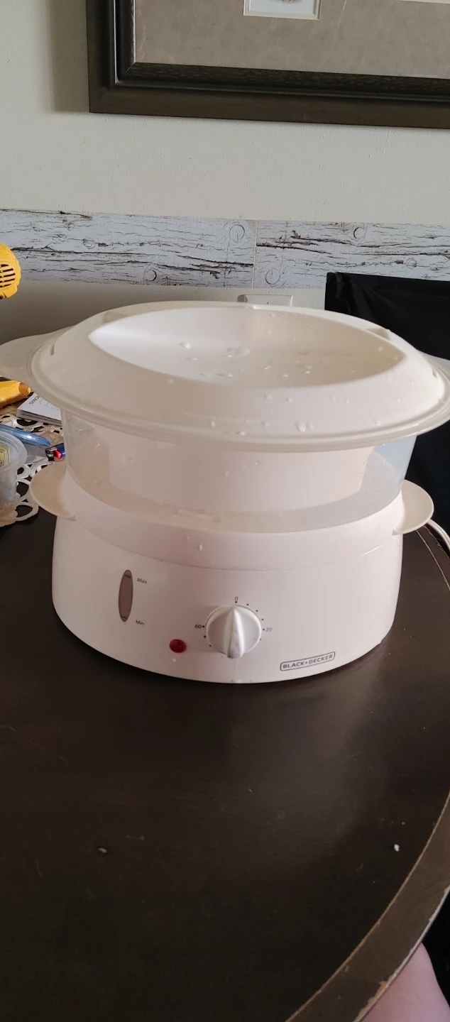 Black+Decker Steamer