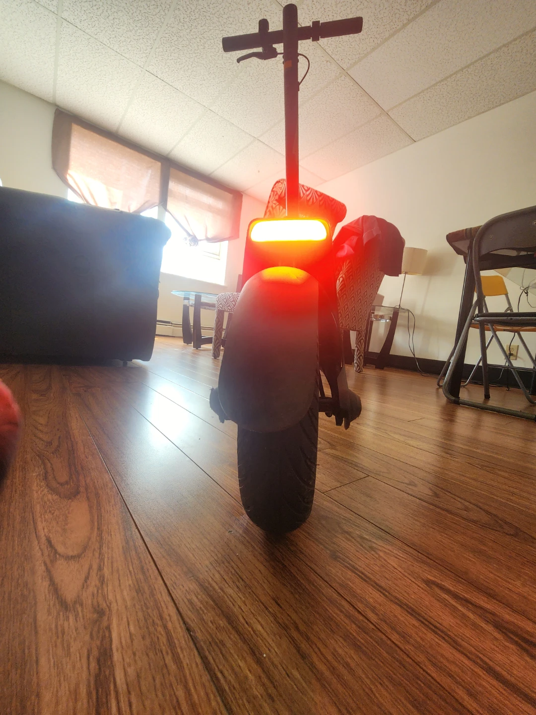 Electric Scooter with Lights