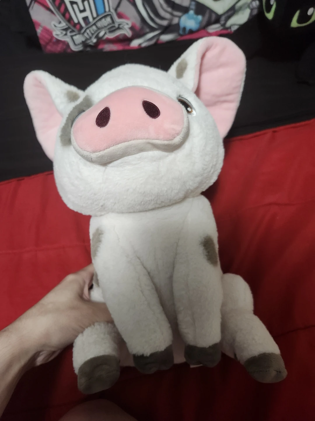 $20 moana pig plush