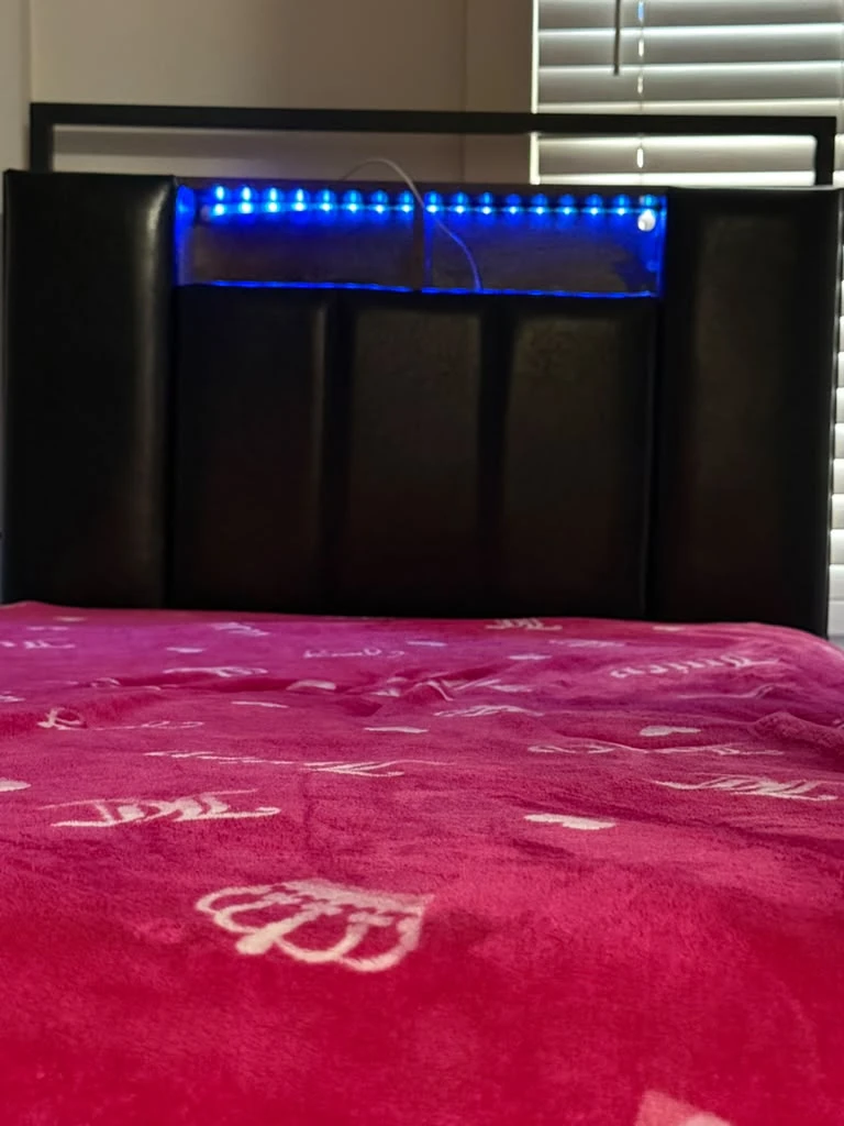 Black Faux Leather Upholstered Bed Frame with LED Lights