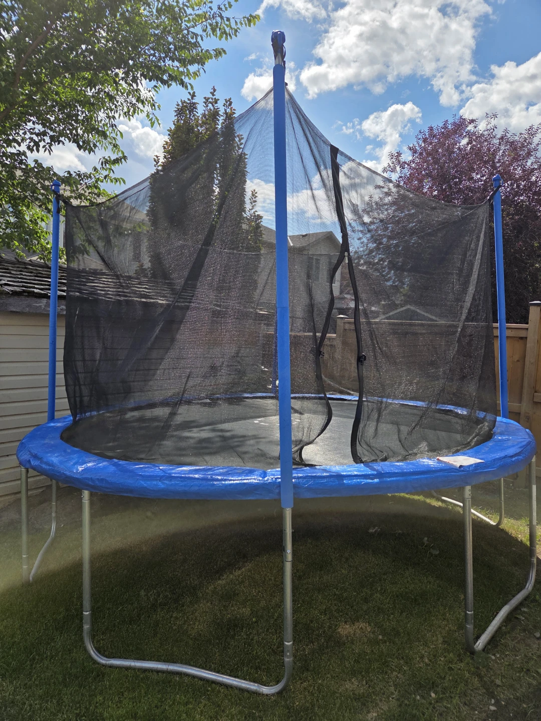 TRAINOR SPORTS 12 Foot Round Trampoline and Enclosure
