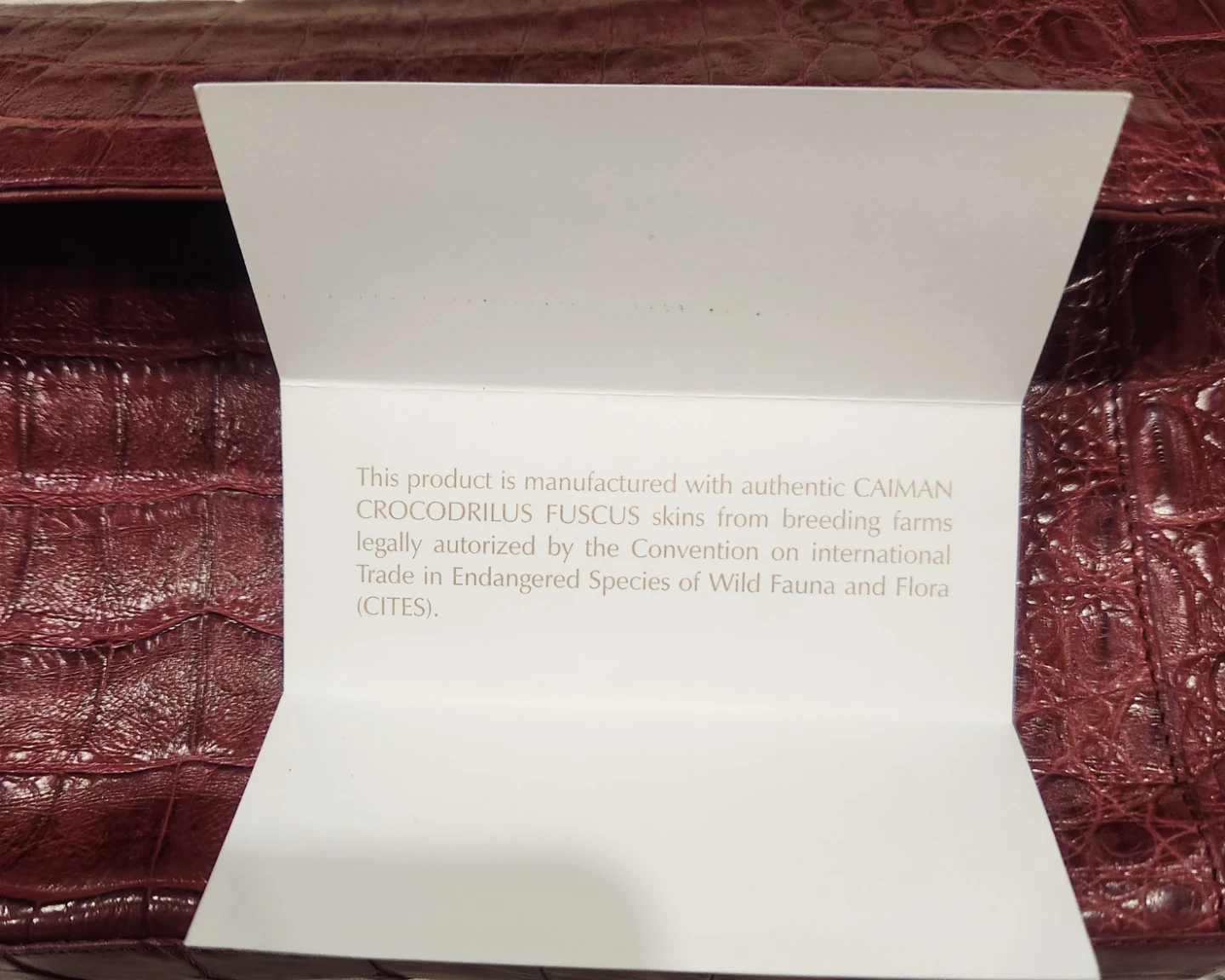 Nancy Gonzalez Burgundy Caiman Clutch - photo 5