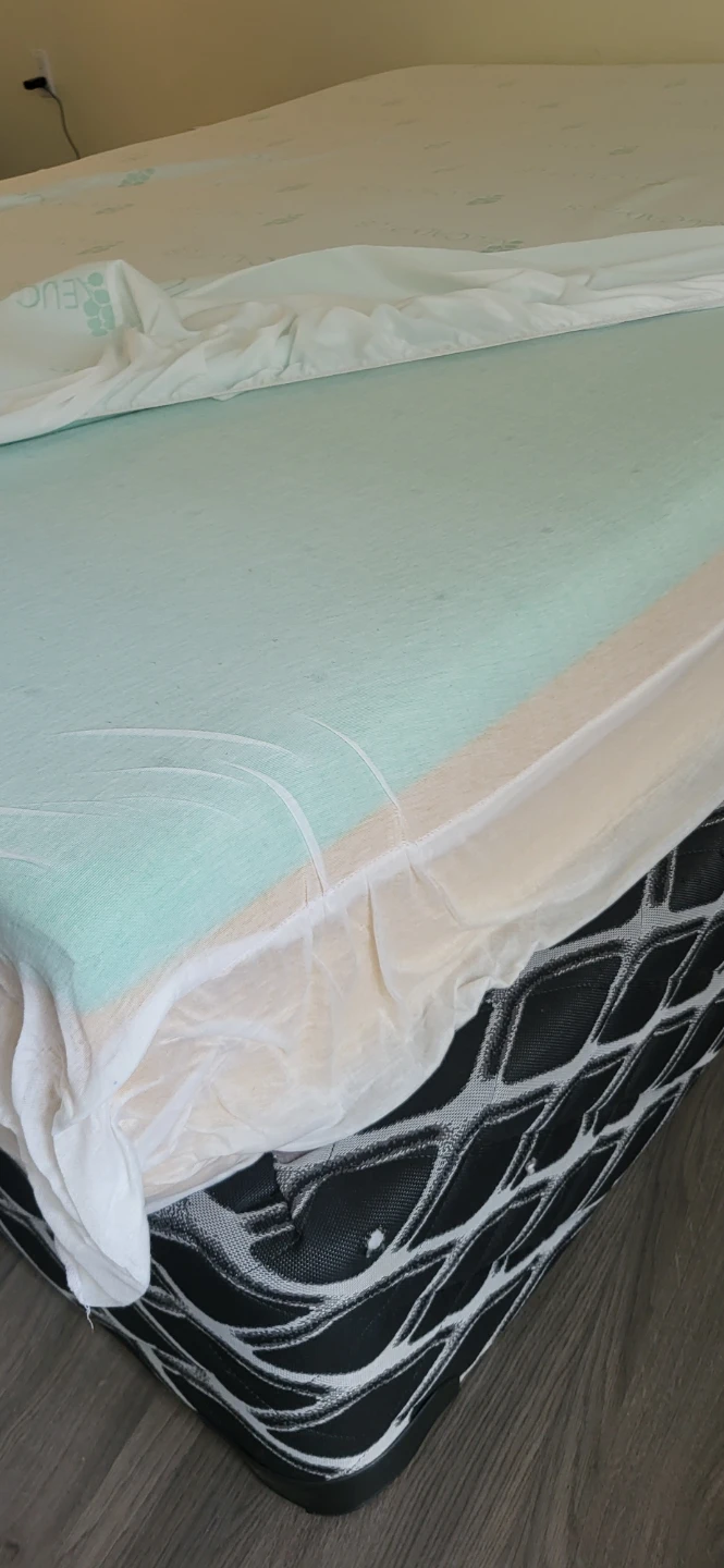 Free queen mattress and boxspring - photo 2
