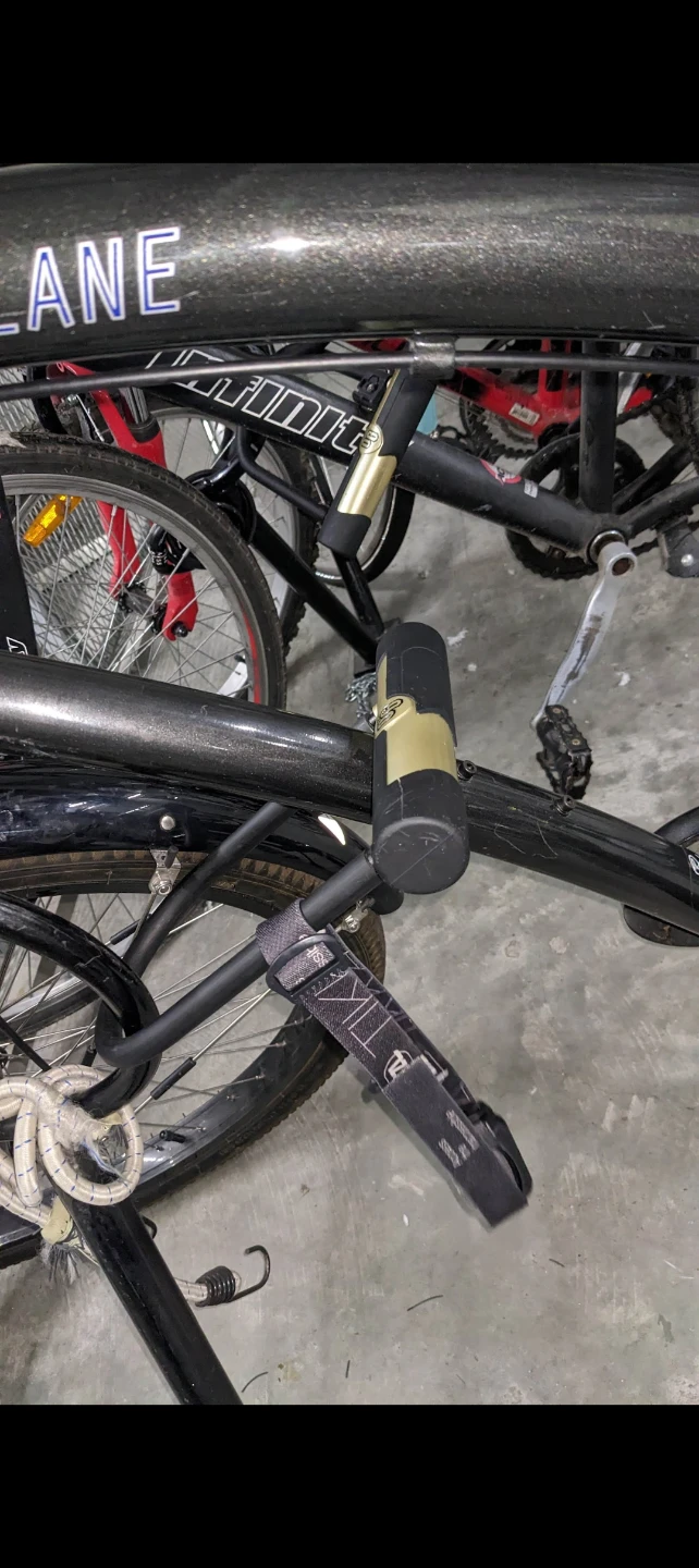 Adjustible height, tall Park Evo cruiser - photo 5