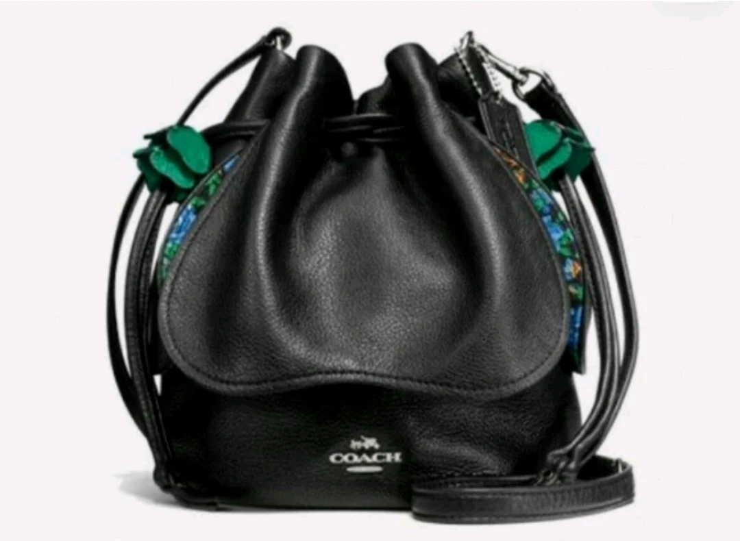 Limited edition coach bucket bag