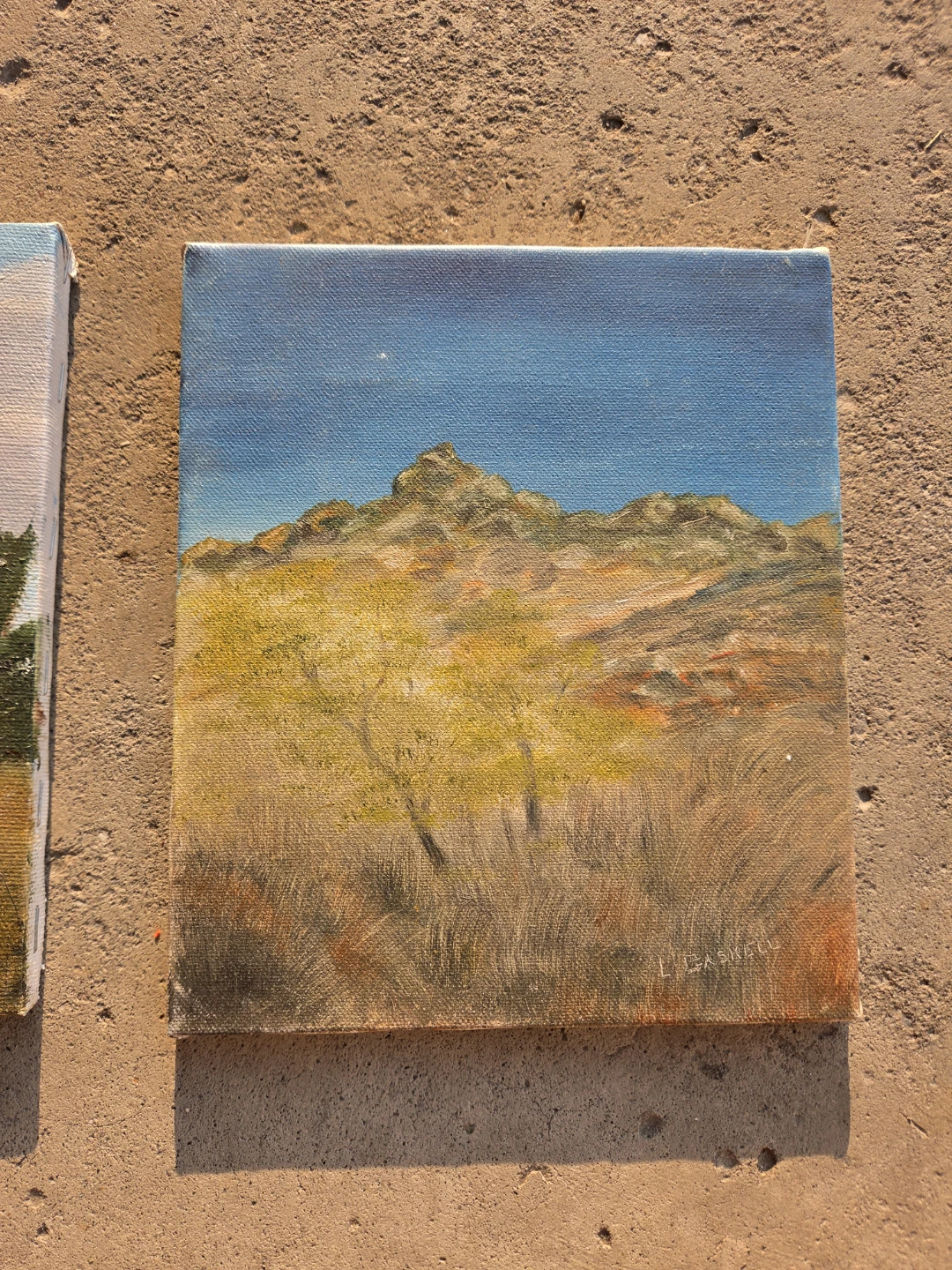 Original Desert Landscape Painting