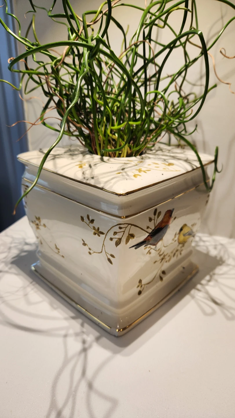 Upcycled whimsical kleenex box holder woth plants - photo 2