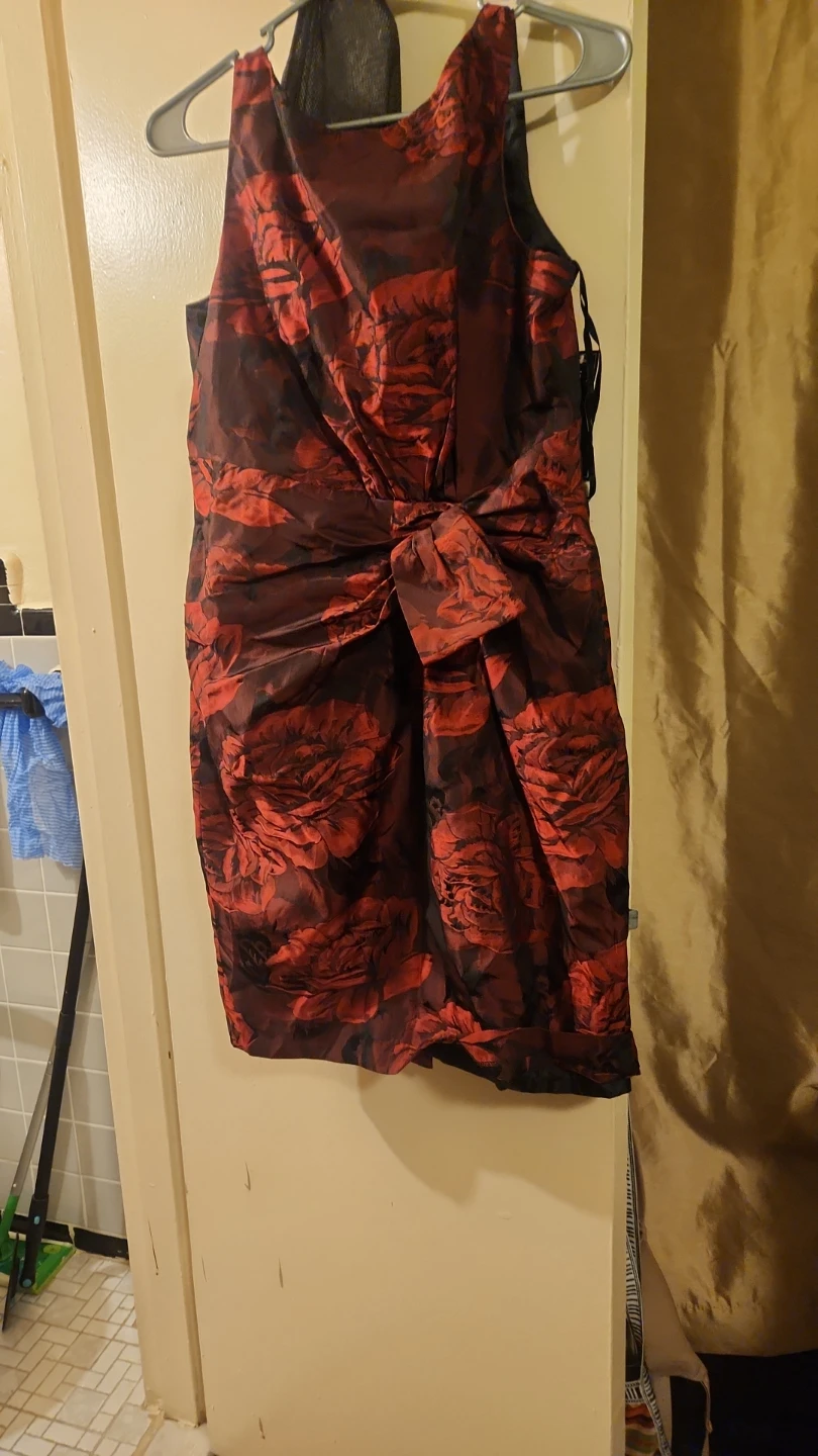 Red Floral Print Dress