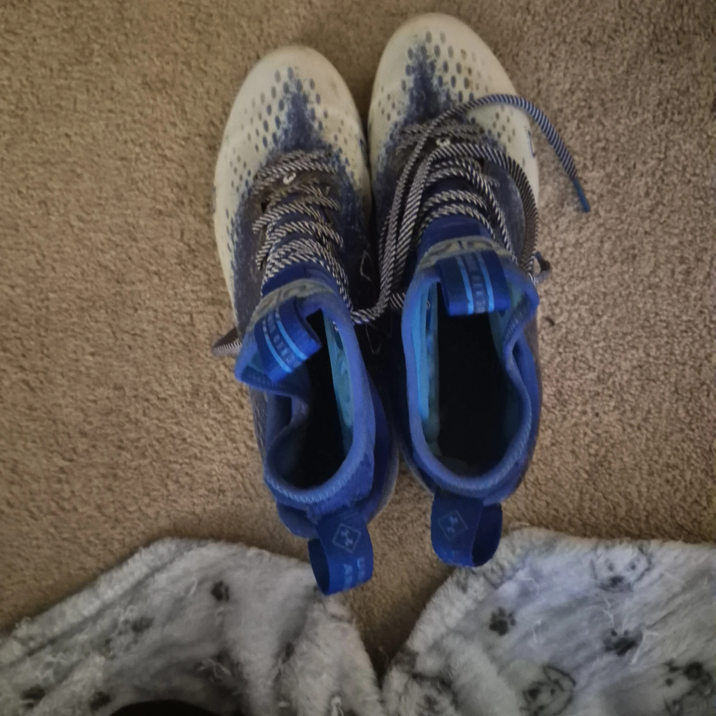 Under Armour Blue and White Spot Cleats