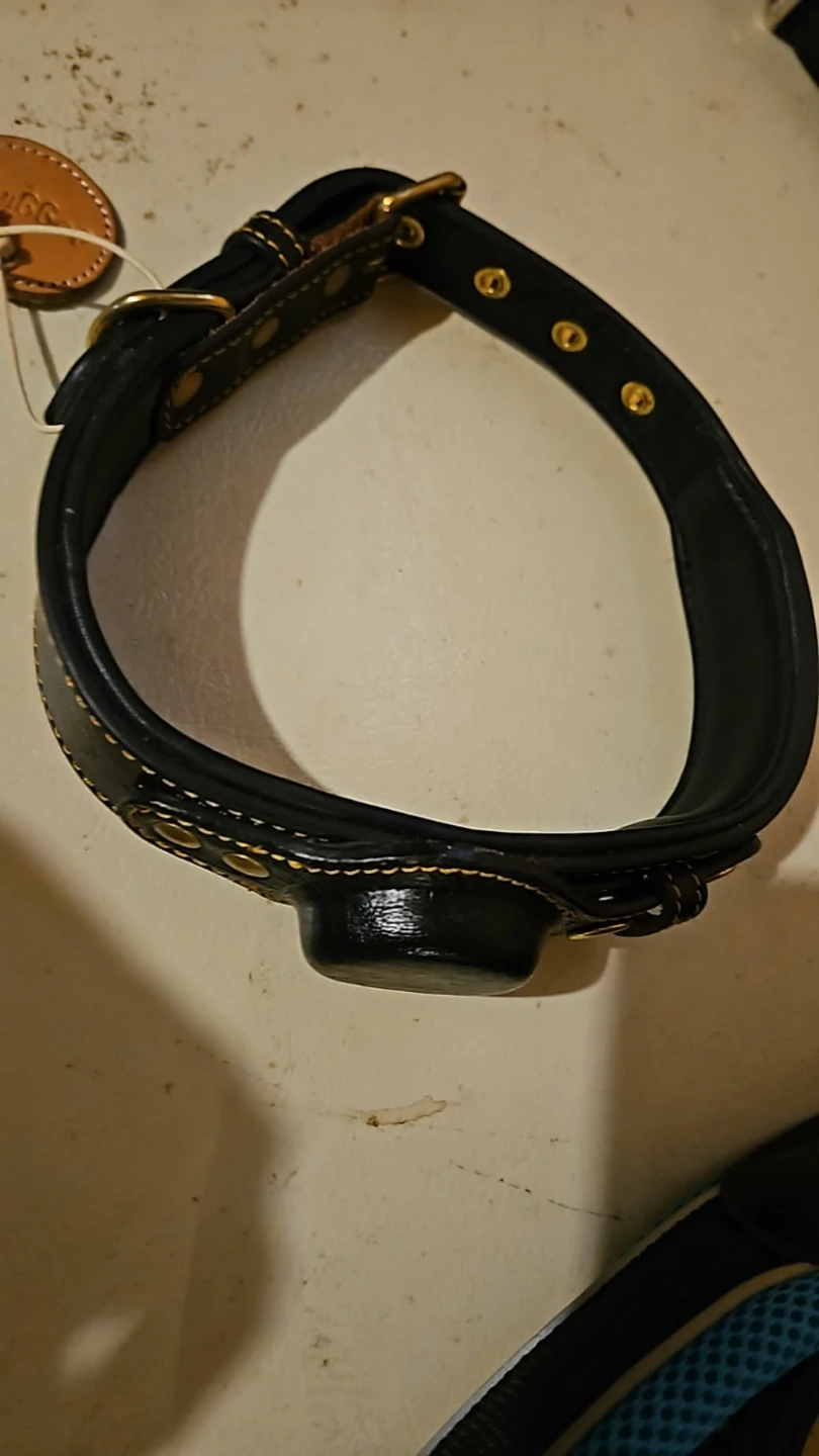 Black Leather Dog Collar with Studs