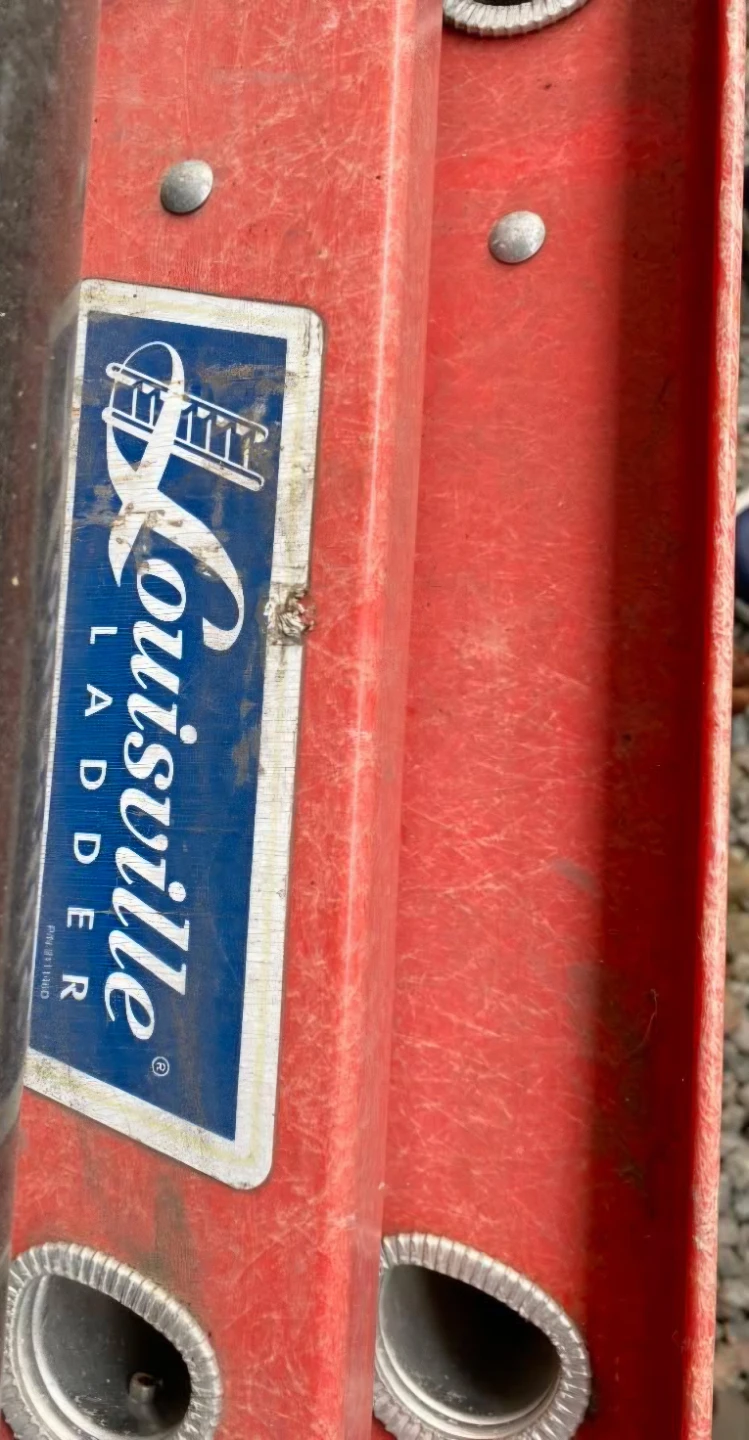Louisville Fiberglass Extension Ladder - photo 4