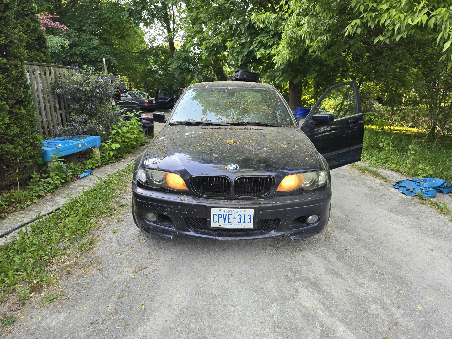 BMW 330xi part out or whole car